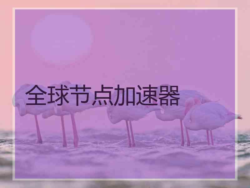 全球节点加速器